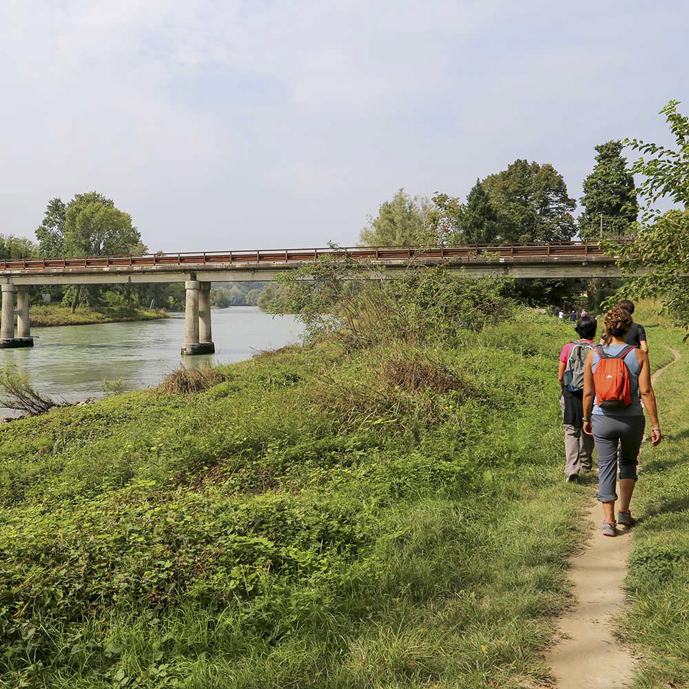 Ponti di Arcè e di Settimo sul fiume Adige - Cammino Sentiero di Maria