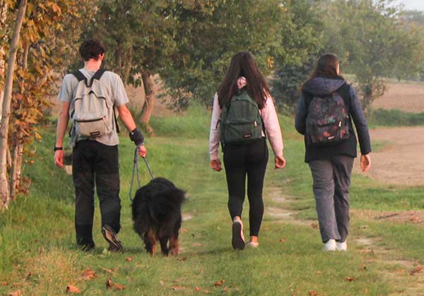 In cammino con il cane